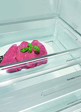 Gorenje-R-6193-KX-Khlschrank-A-185-cm-Hhe-76-kWhJahr-368-Liter-Khlteil-IonAir-System-Reduktion-der-Entstehung-allergieauslsender-Stoffe-Edelstahl-Tren-0-0