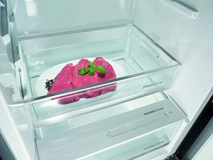 Gorenje-R-6193-KX-Khlschrank-A-185-cm-Hhe-76-kWhJahr-368-Liter-Khlteil-IonAir-System-Reduktion-der-Entstehung-allergieauslsender-Stoffe-Edelstahl-Tren-0-0